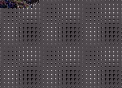 {short description of image}